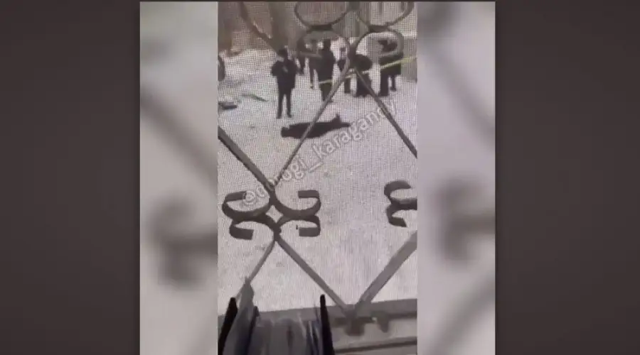 кадр из видео