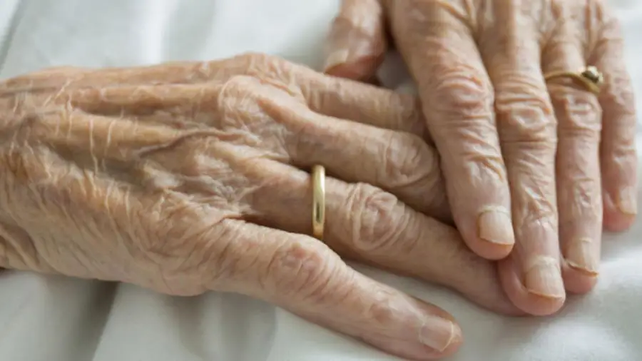 иллюстративное фото