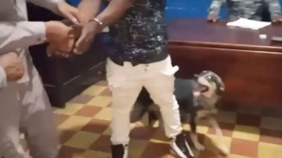 кадр из видео