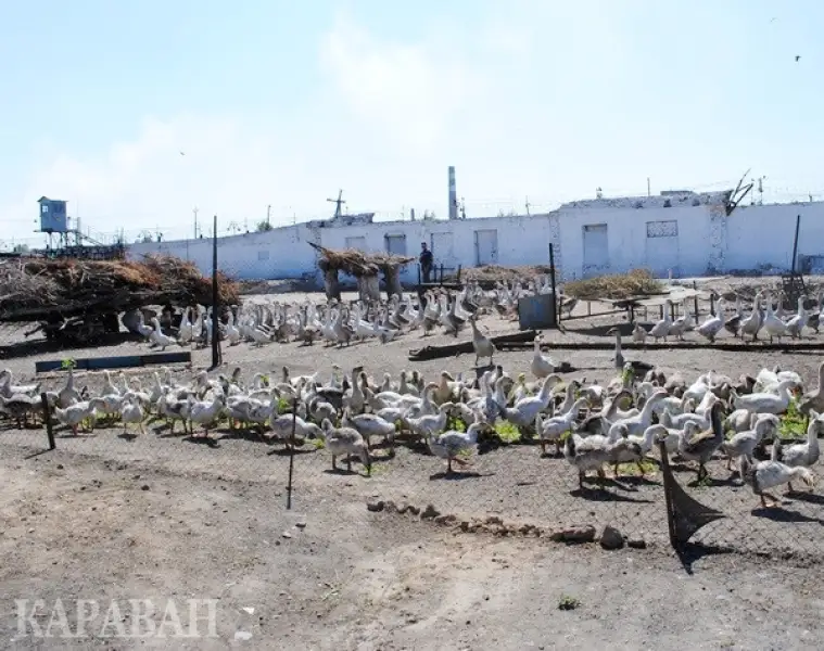 Учреждение ОВ-156/15 – колония строгого режима, caravan.kz