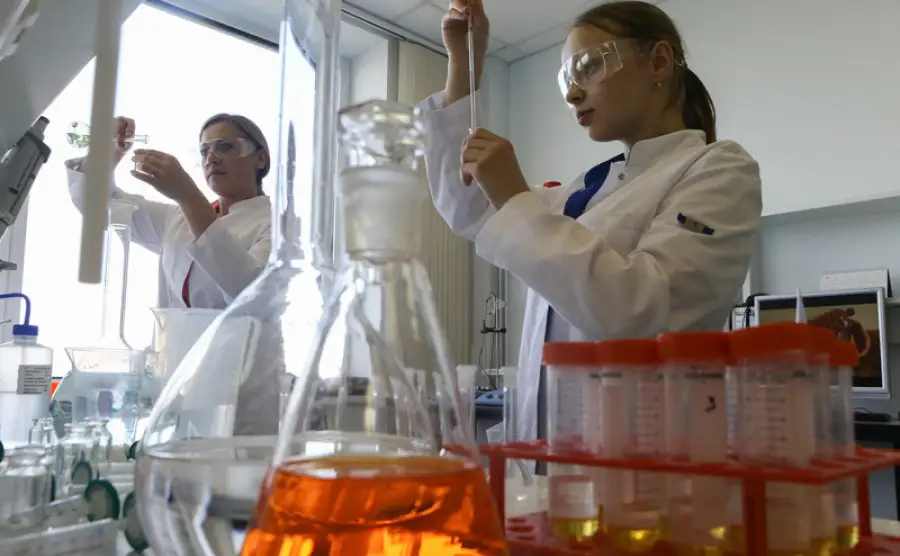 иллюстративное фото