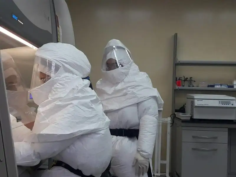 иллюстративное