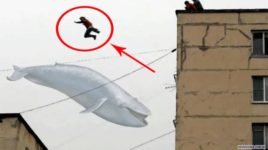 иллюстративное