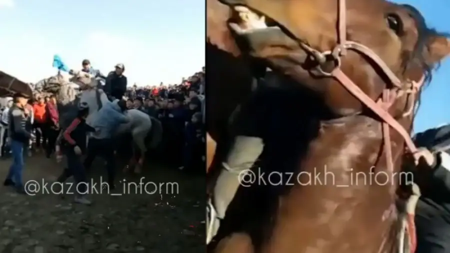 кадр из видео