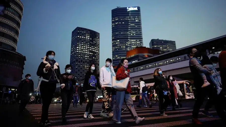 иллюстративное