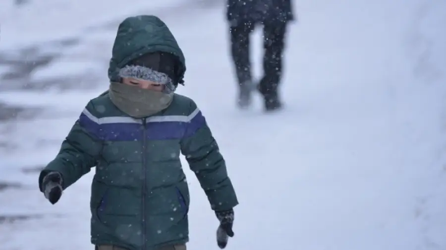 иллюстративное фото