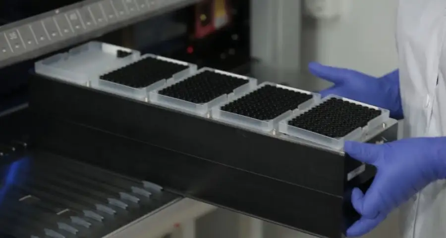 кадр из видео