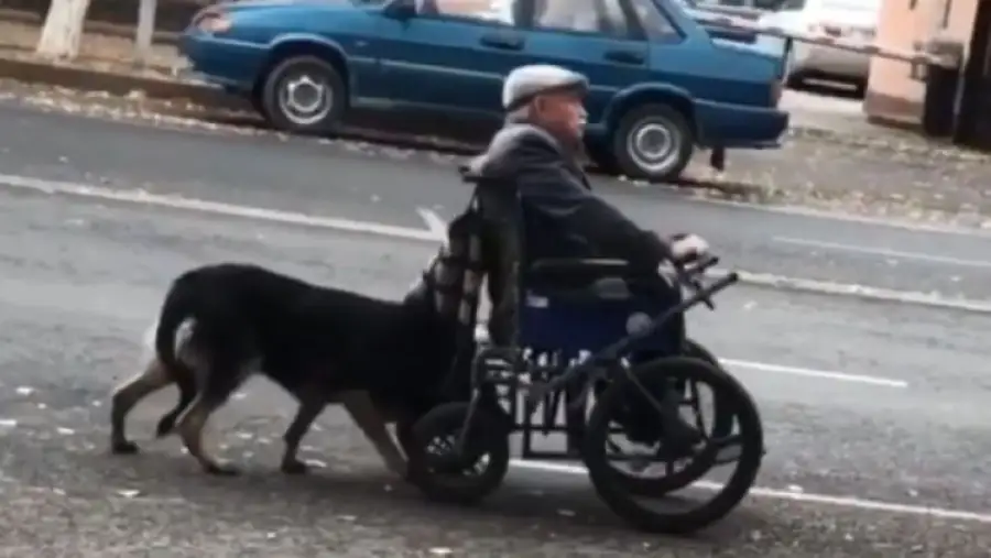 кадр из видео