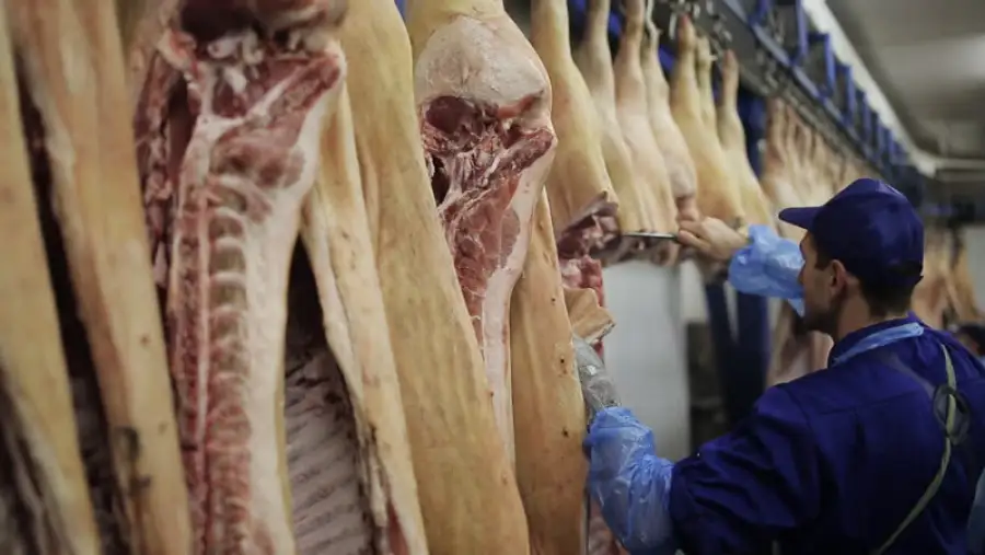 кадр из видео