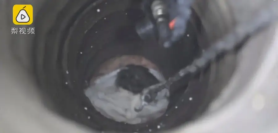 кадр из видео