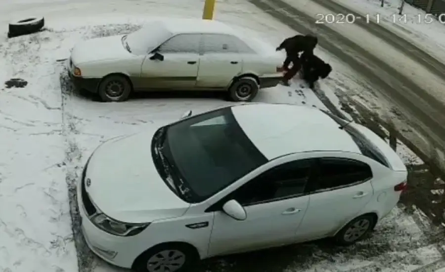 кадр из видео