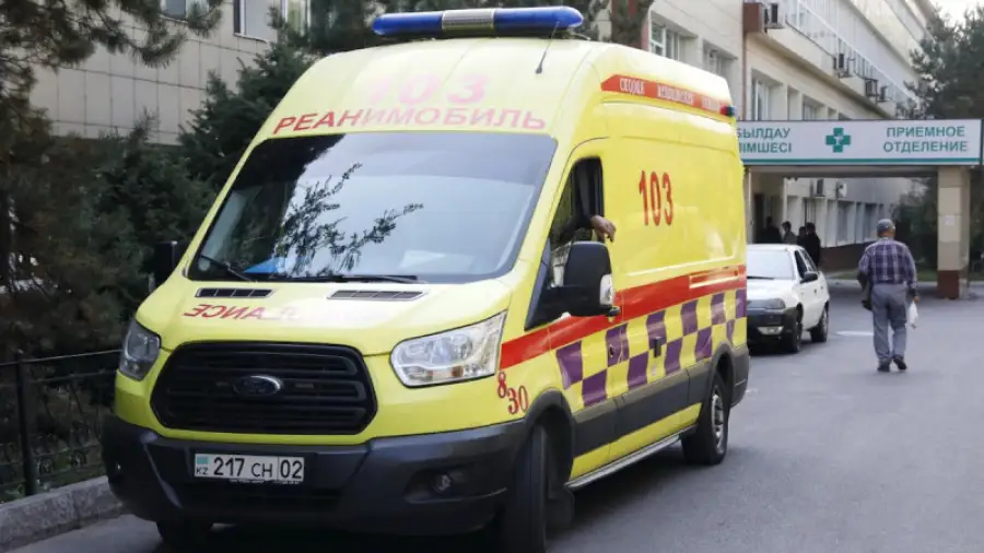 иллюстративное