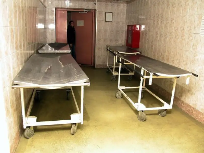 иллюстративное фото