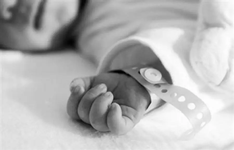 из открытых источников