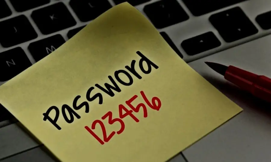 иллюстративное фото