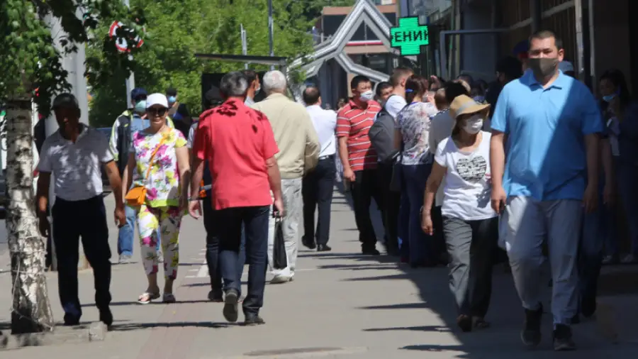 иллюстративное