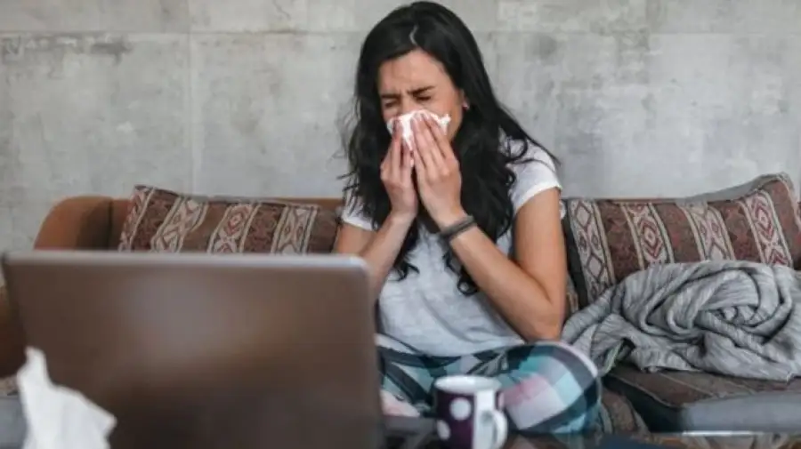 иллюстративное фото