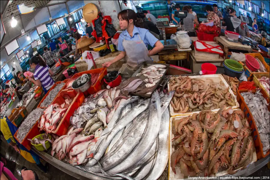 иллюстративное