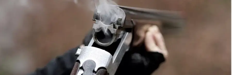 из открытых источников