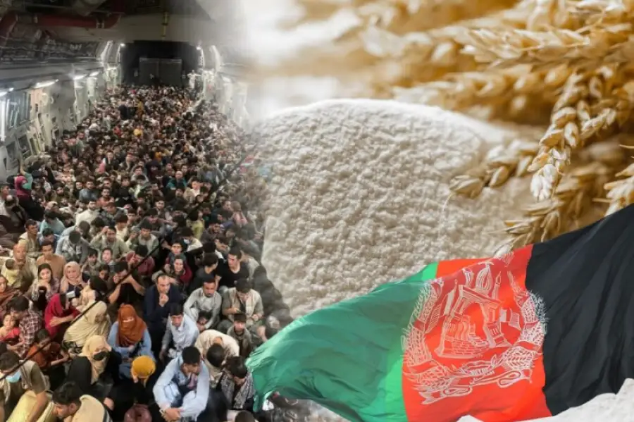 источник: eldala.kz