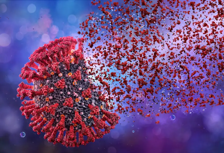 иллюстративное