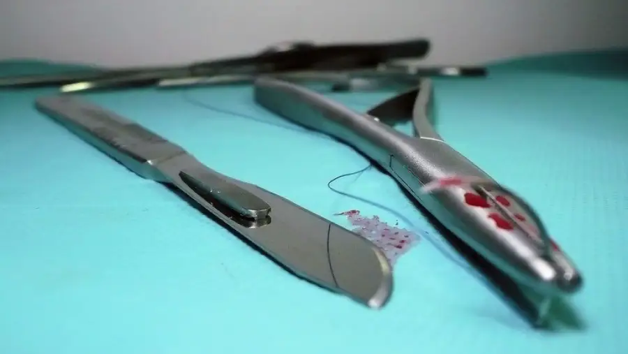 иллюстративное фото