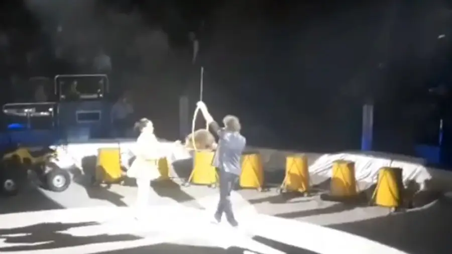 кадр из видео