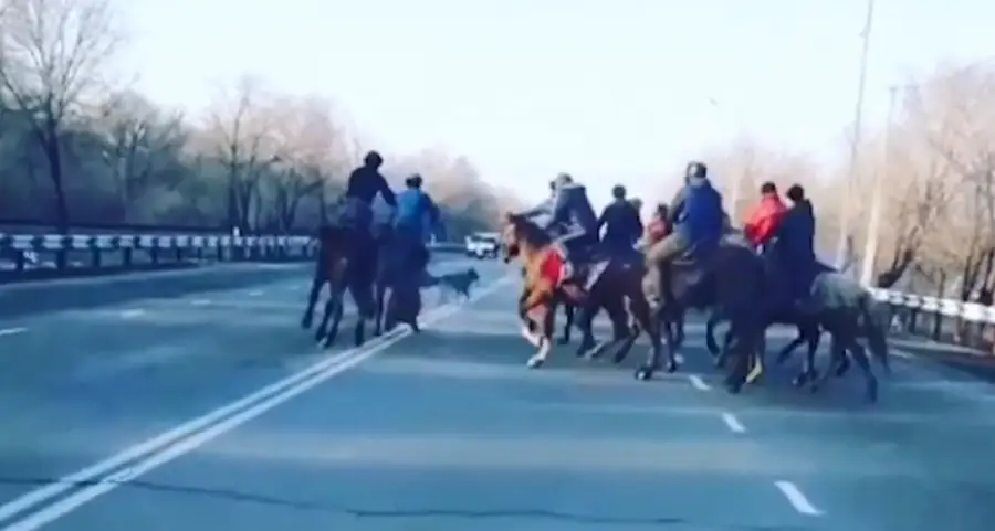 Кокпар устроили прямо на улицах Талдыкоргана