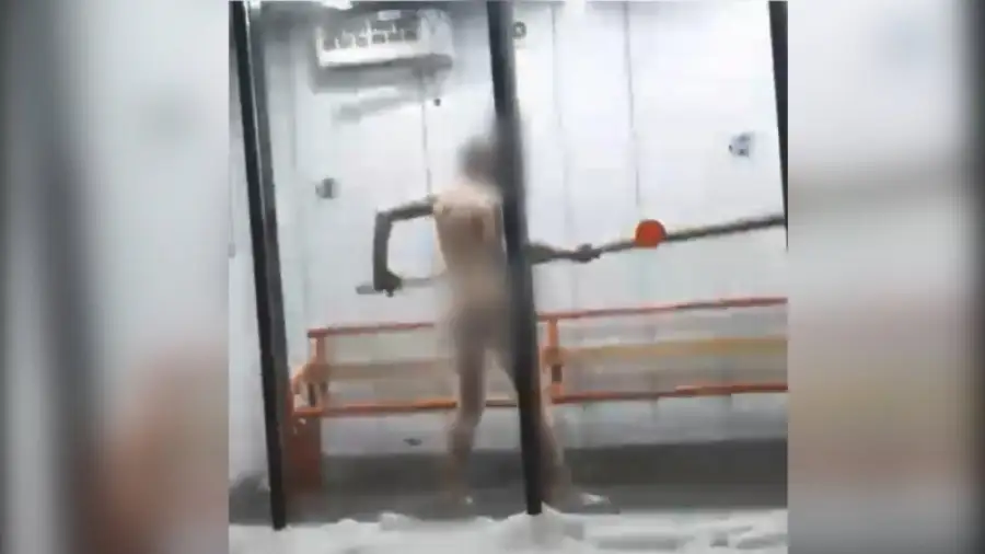 кадр из видео