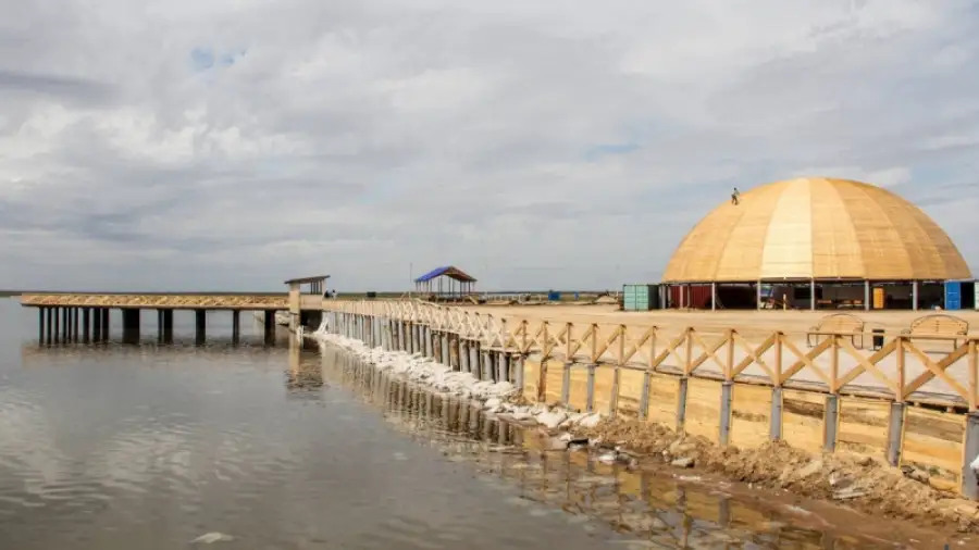 2196-20200604-055846