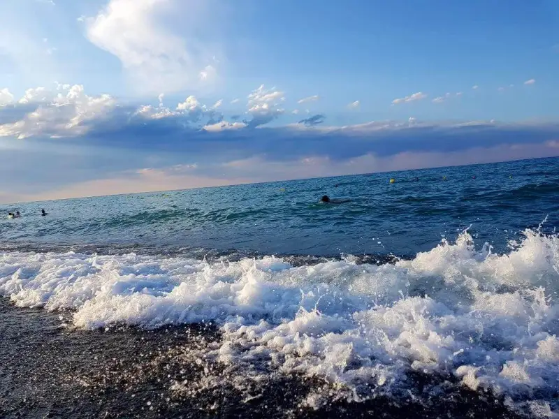 Власти рассказали, как будут осушать берега Алаколя — продолжение скандала