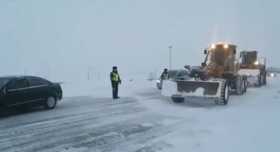 иллюстративное фото