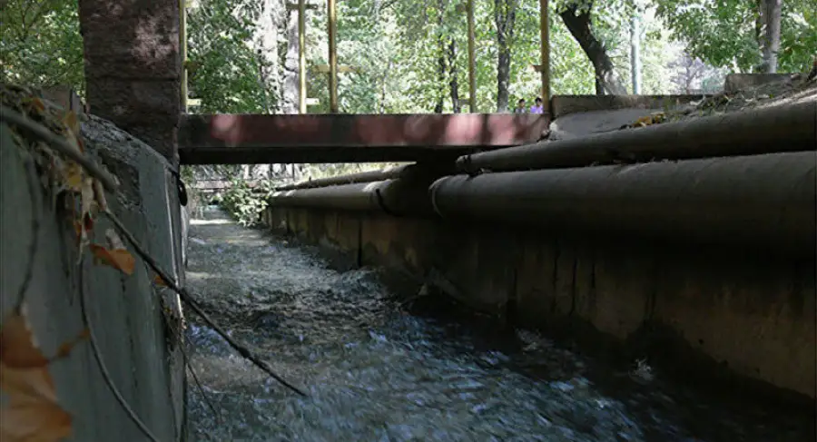 иллюстративное фото