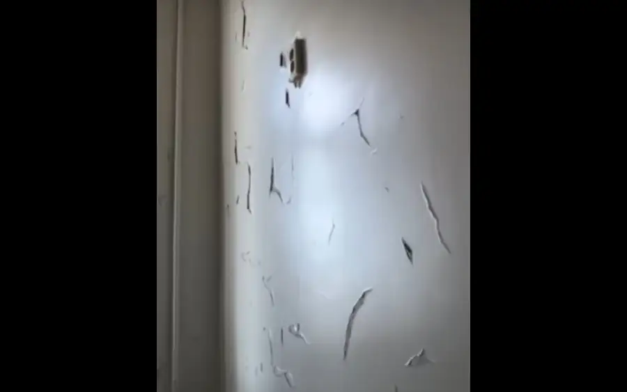 кадр из видео