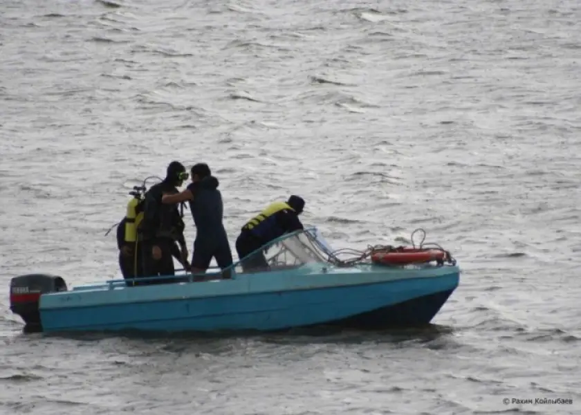 иллюстративное