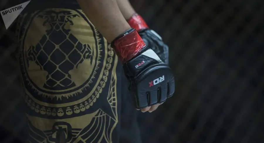 © Sputnik / Табылды Кадырбеков