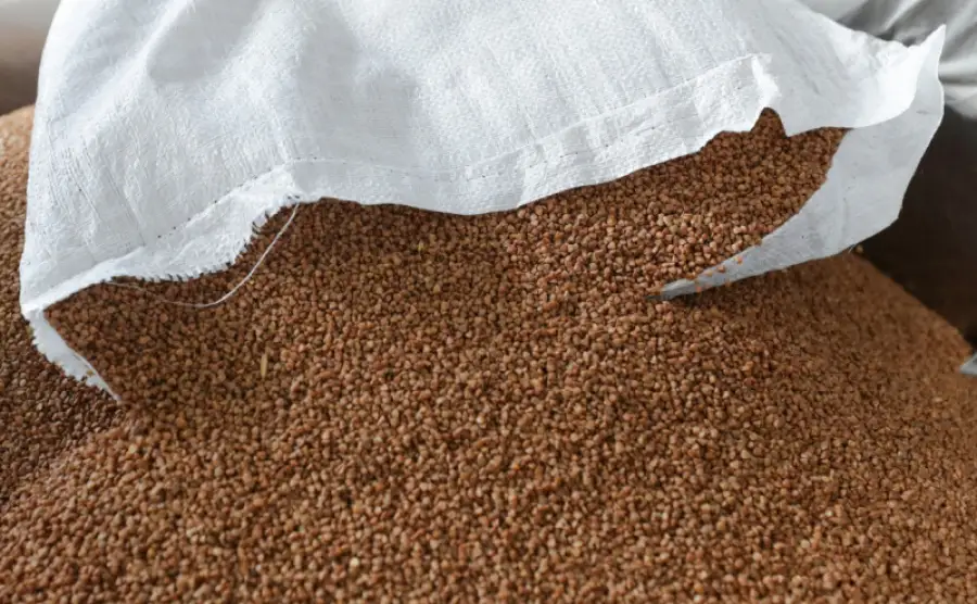 иллюстративное