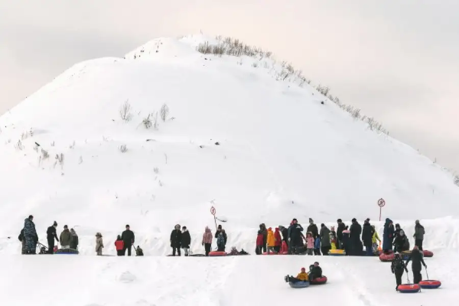 из открытых источников