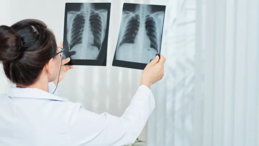 иллюстративное