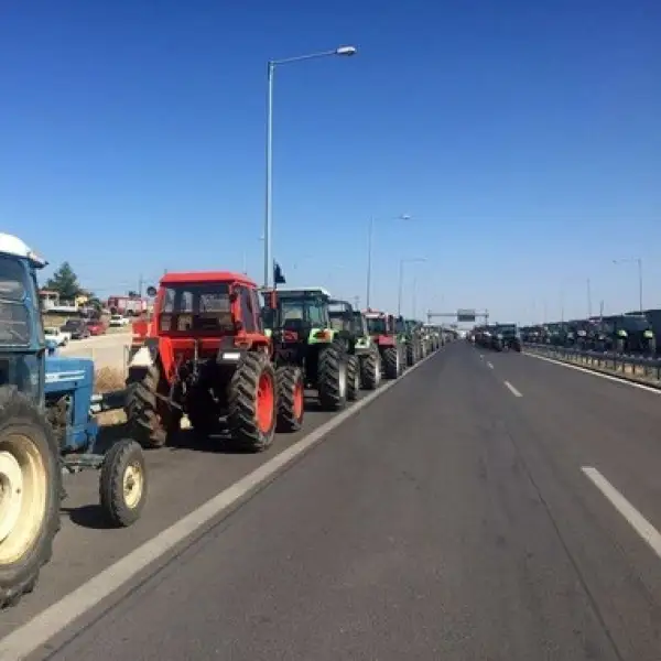 иллюстративное