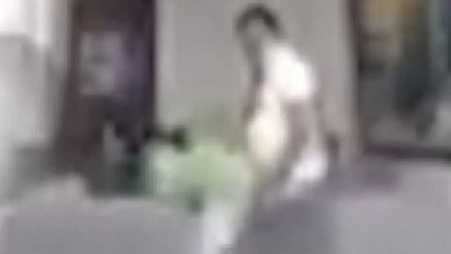 кадр из видео