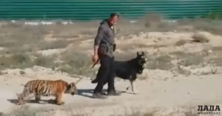 кадр из видео