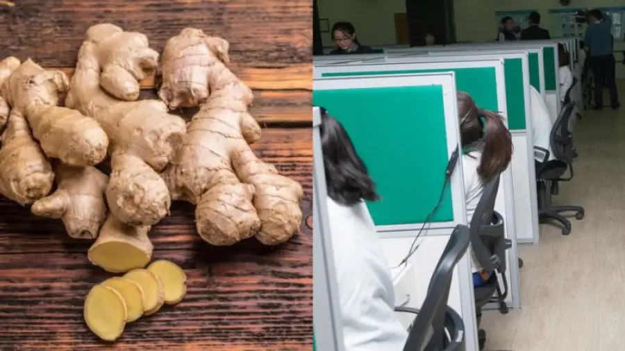 иллюстративное