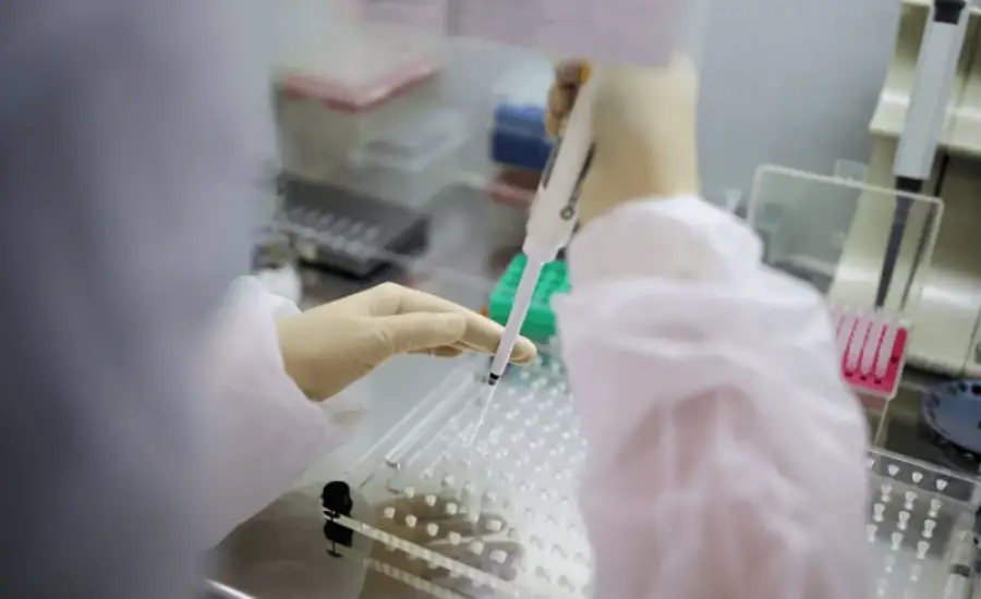 иллюстративное фото