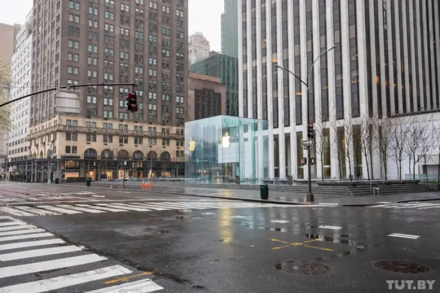 иллюстративное