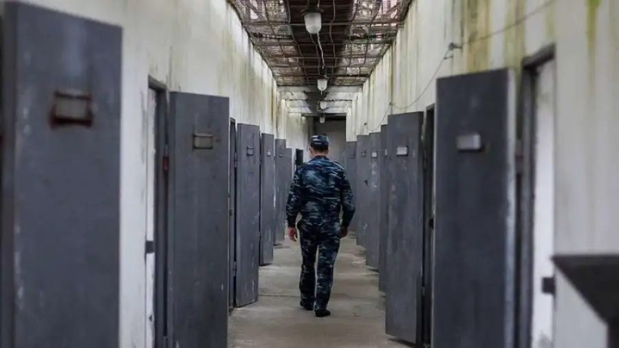 иллюстративное