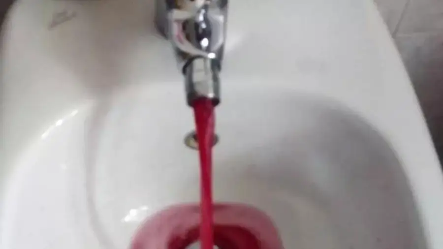 Вино из крана